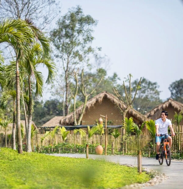 Du Lịch Alba Wellness Valley - Huế  - Cù Lao Chàm - 4N3Đ