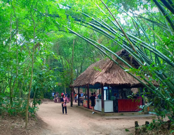 One Day Trip: City Tour - Cu Chi Tunnels