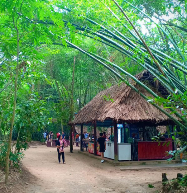 One Day Trip: City Tour - Cu Chi Tunnels