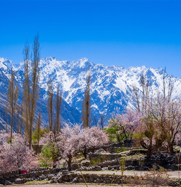 Khám Phá Pakistan - 11N10Đ