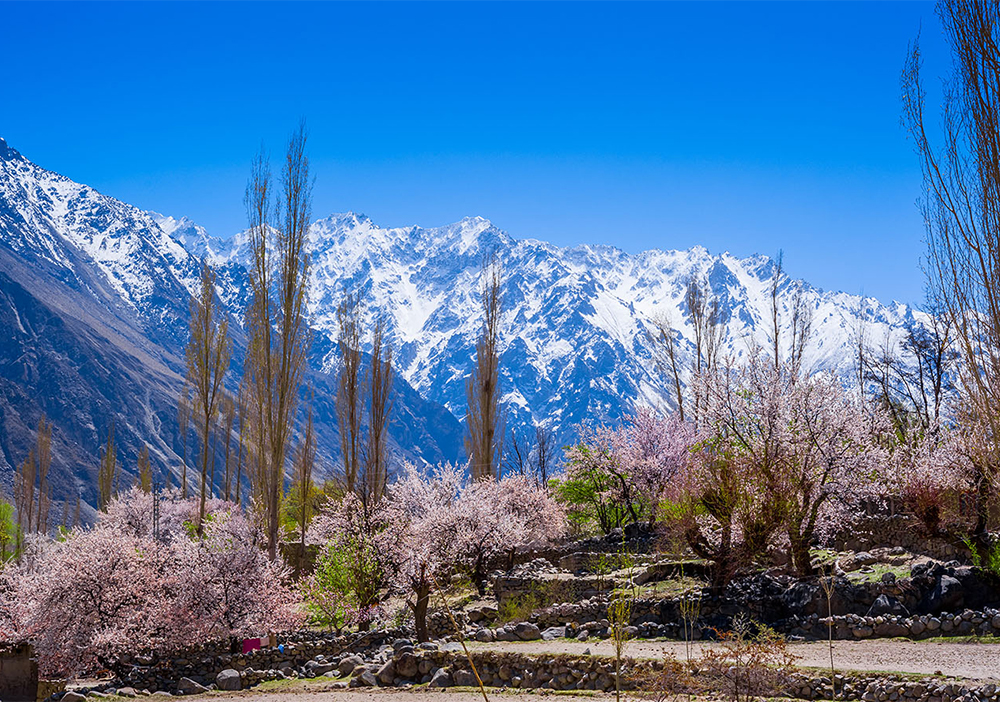 Khám Phá Pakistan Mùa Xuân - 11N10Đ