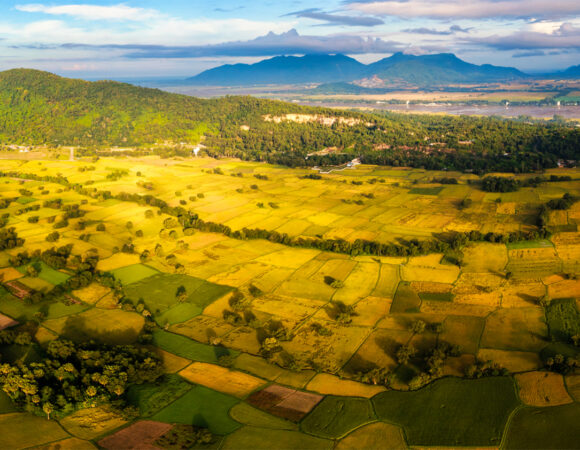 Mùa vàng ở An Giang