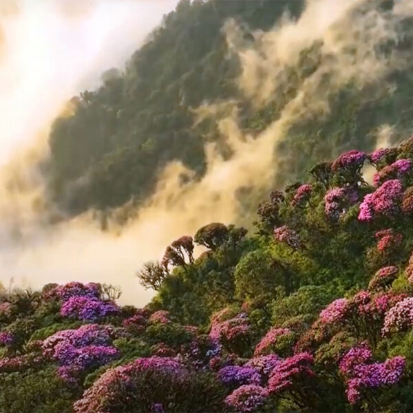 5 cung trekking mùa xuân miền Bắc