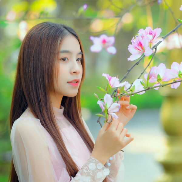 Những mùa hoa gọi tên tháng 3 ở Hà Nội